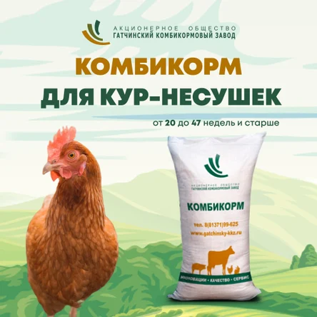 ПК1-1 Для кур несушек до 47 недель