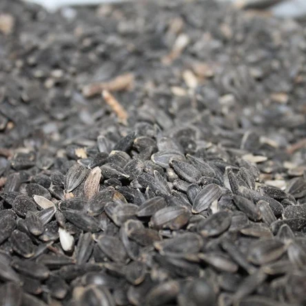 Семя Подсолнечника 30кг