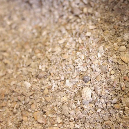 Ракушка 10кг