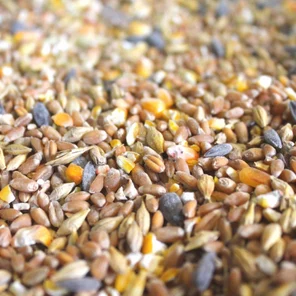 Зерносмесь