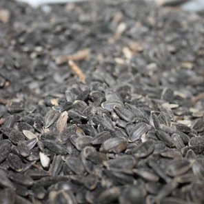 Семя Подсолнечника 30кг