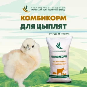 ПК-3 - комбикорм для молодняка кур от 8 до 13 недель