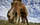 🐴 Буян, рабочий конь с Лужских полей